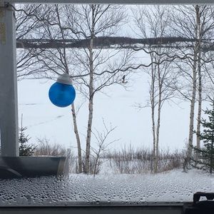 Meet your Posher, Connie